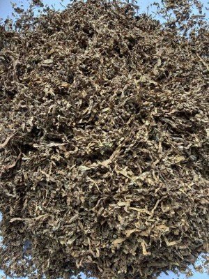 Тютюн Бонд (Bond) 