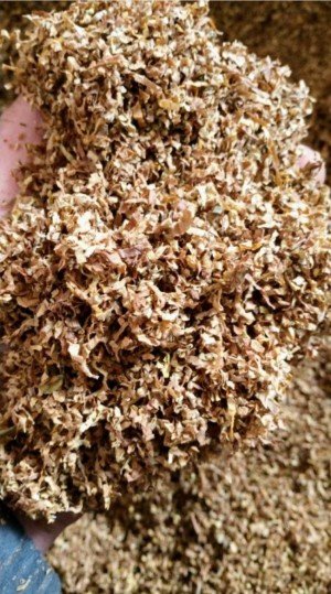 Тютюн Давідов 